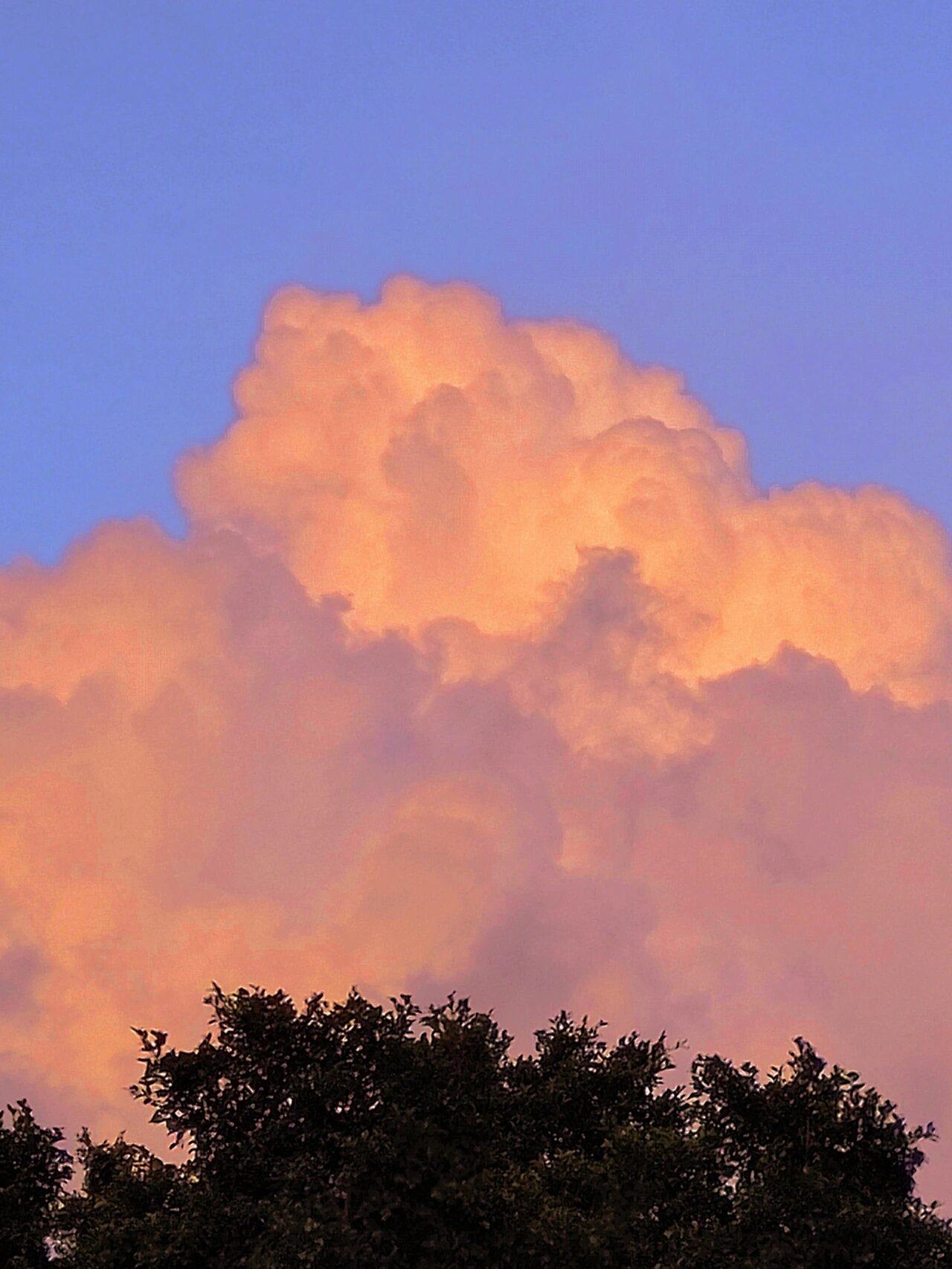 醒图滤镜教程|橘金浪漫云朵调色私藏分享 好爱傍晚夕