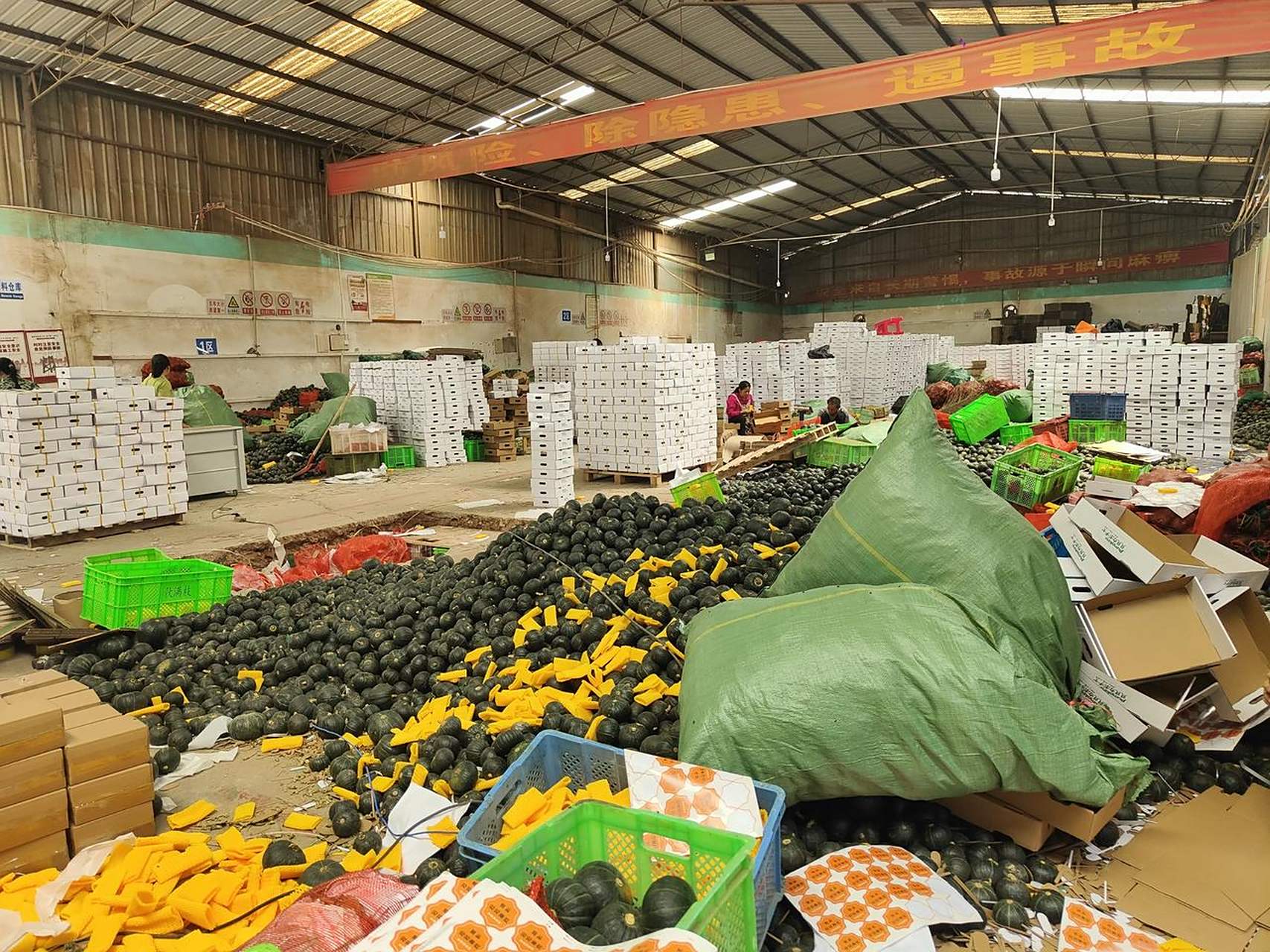 做农产品供应链一个仓库只适合做一个单品,把一个单品做到极致,从田间