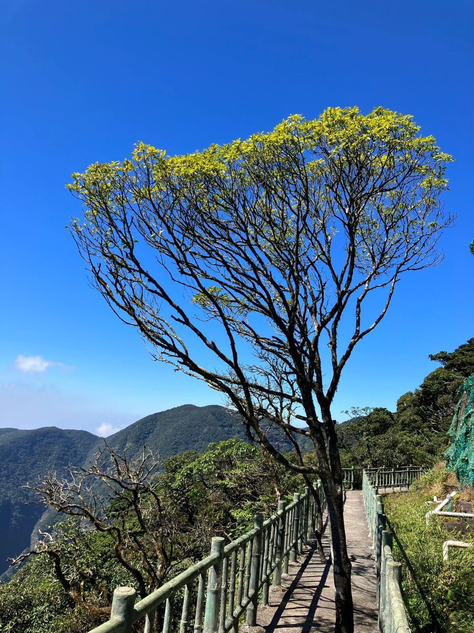 10 月 15 金秀圣堂山一日游  前一天在北帝山还是阴天,很担心爬圣堂山