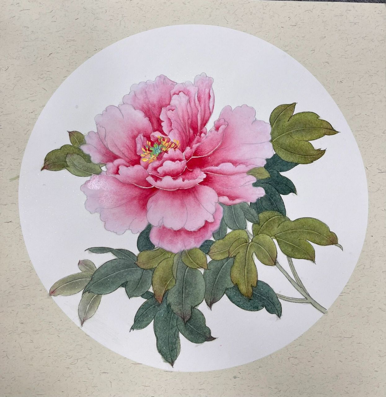 国画工笔牡丹步骤 喜欢工笔的零基础朋友可以看过来哦