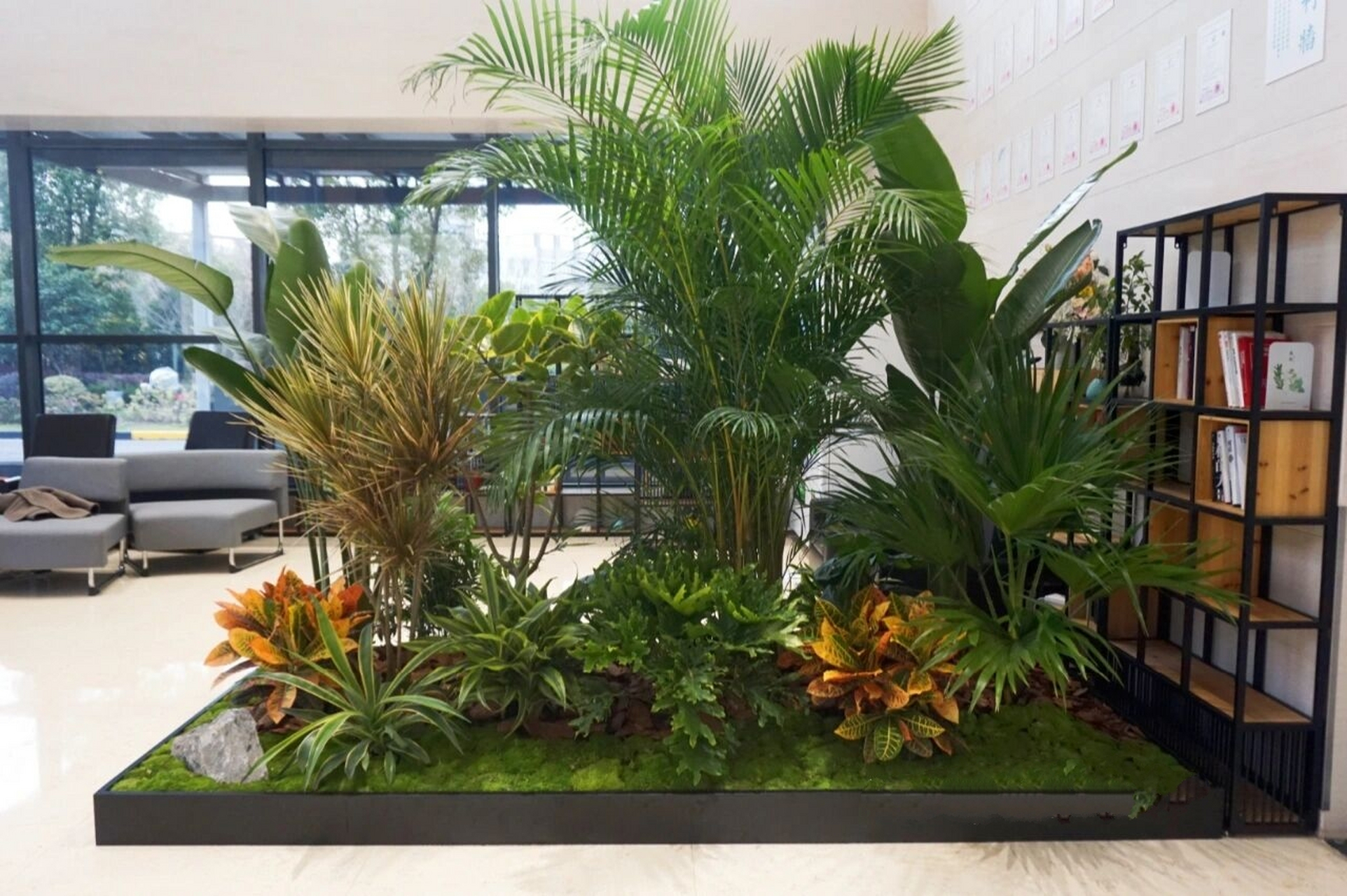 沉浸式热带植物造景|上海景观设计 热带雨林风植物造景,选用散尾葵