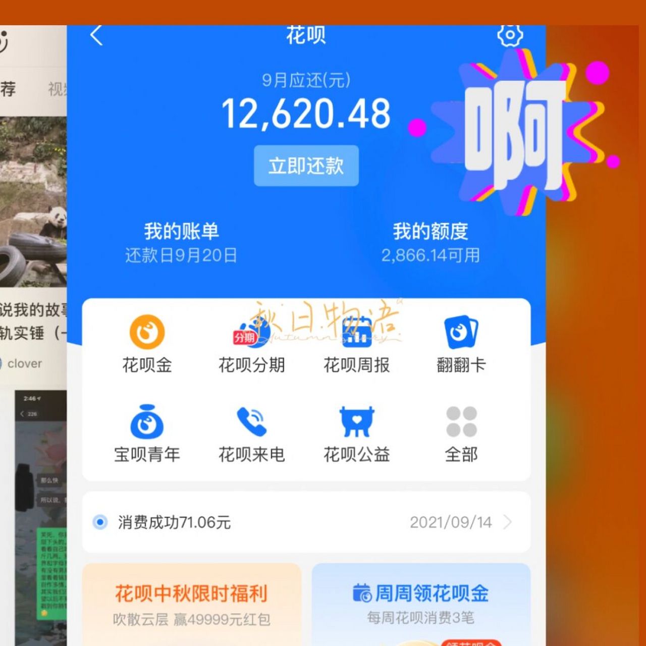 今天算完账, 看了一下花呗账单这个月有一万二  我也不知道我花哪里