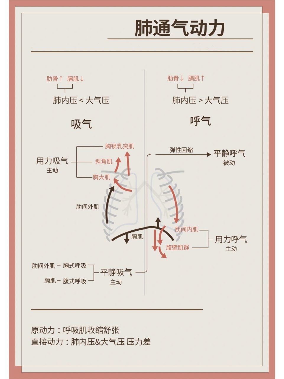 肺通气阻力图片