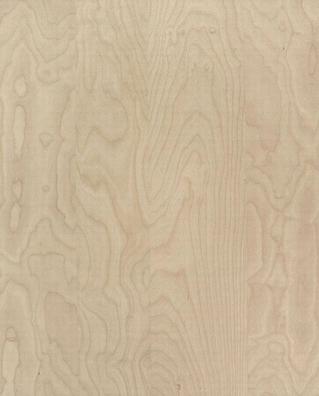 送大家几张桦木贴图