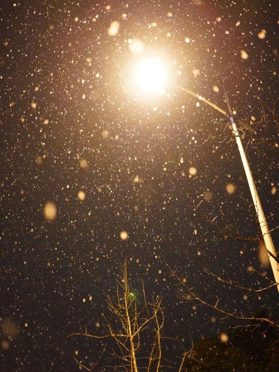 下雪照片 路灯图片
