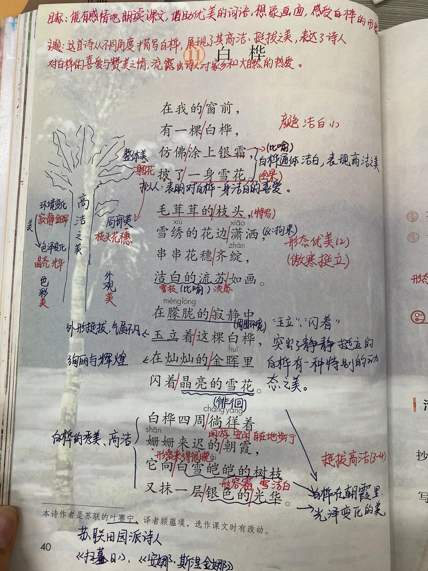 部编版语文四下11.《白桦》