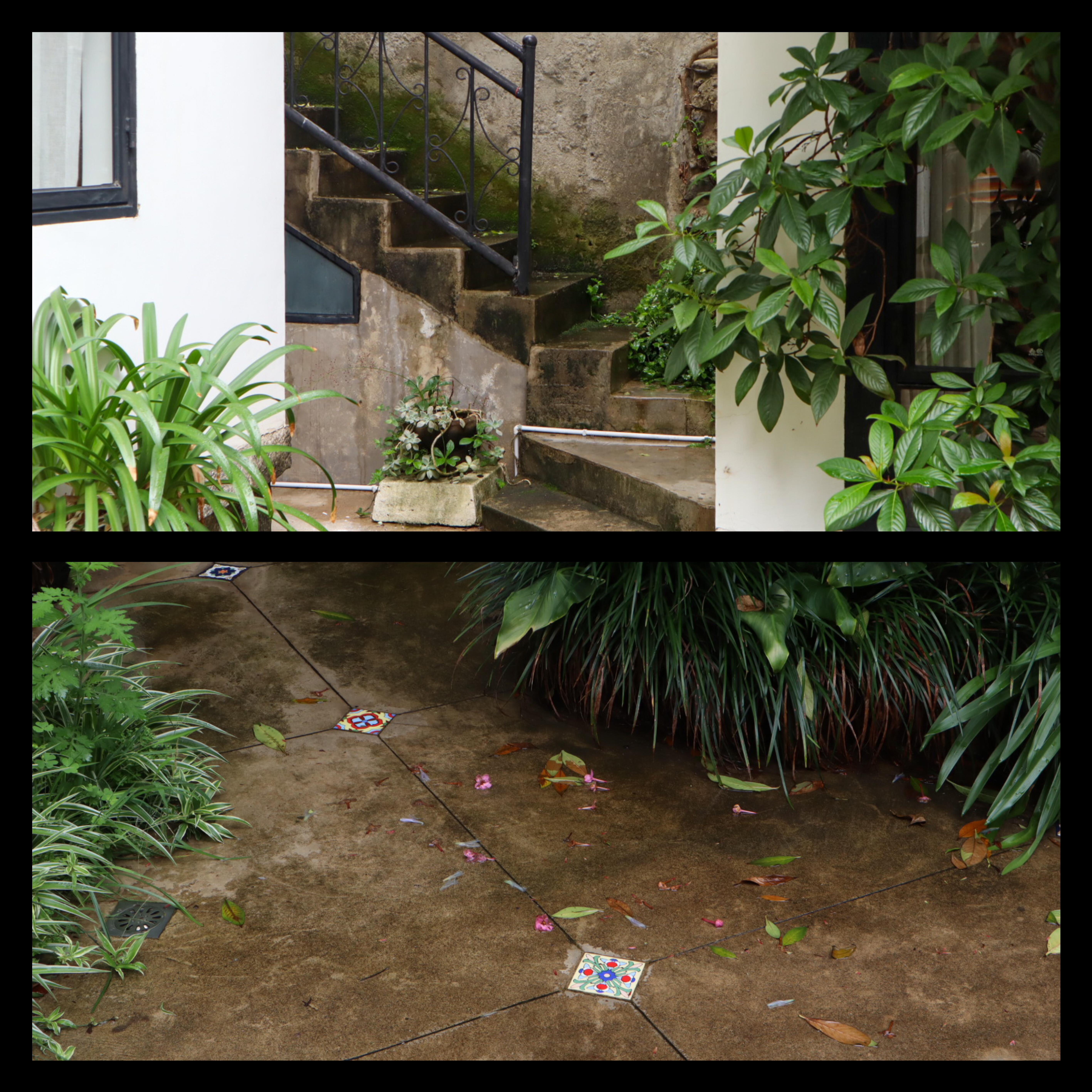 不一样的奥运故事丨从国家教练到建筑设计师||高鲁