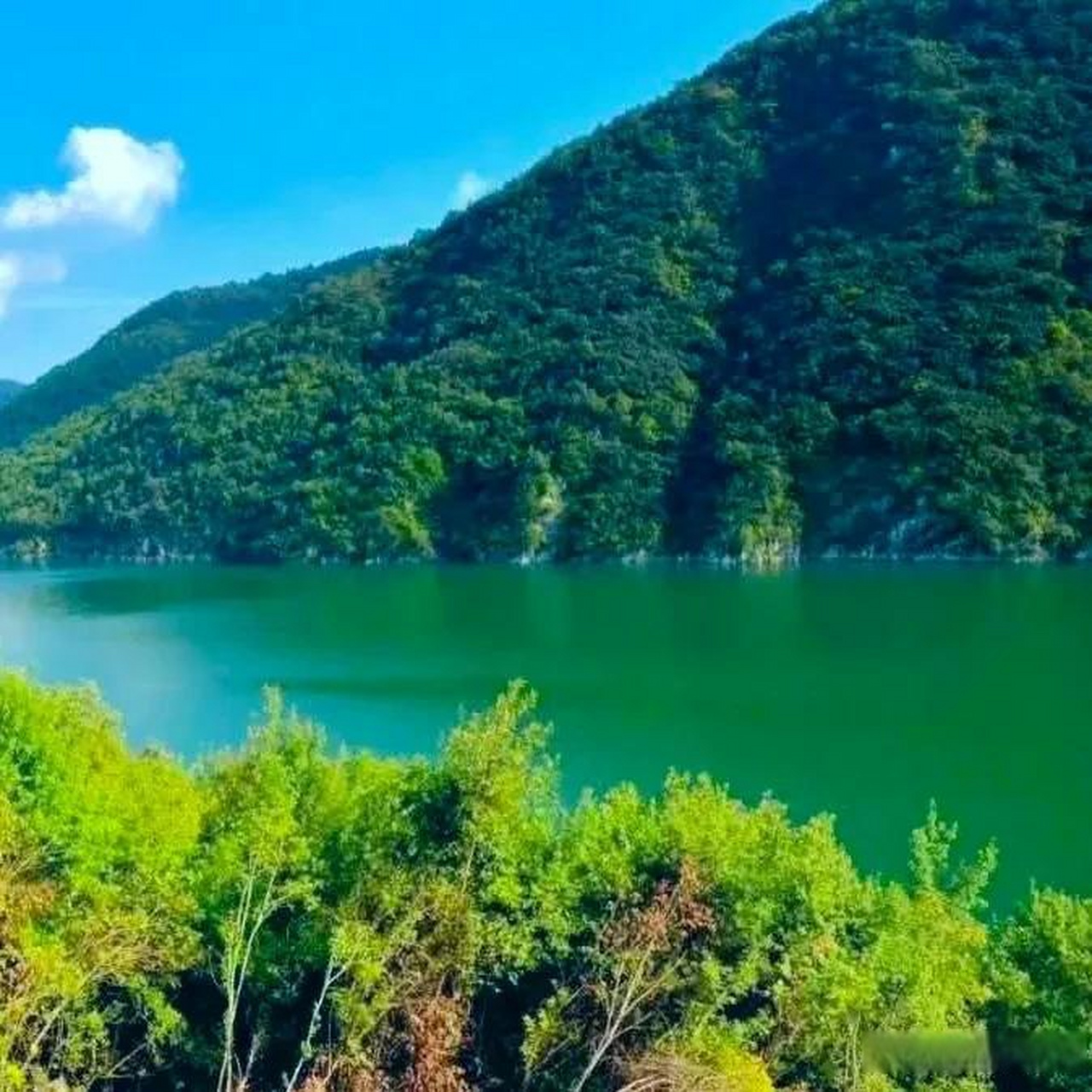 美好的自然景观 大自然美景打卡 美丽的青山绿水,不仅可以愉悦身心