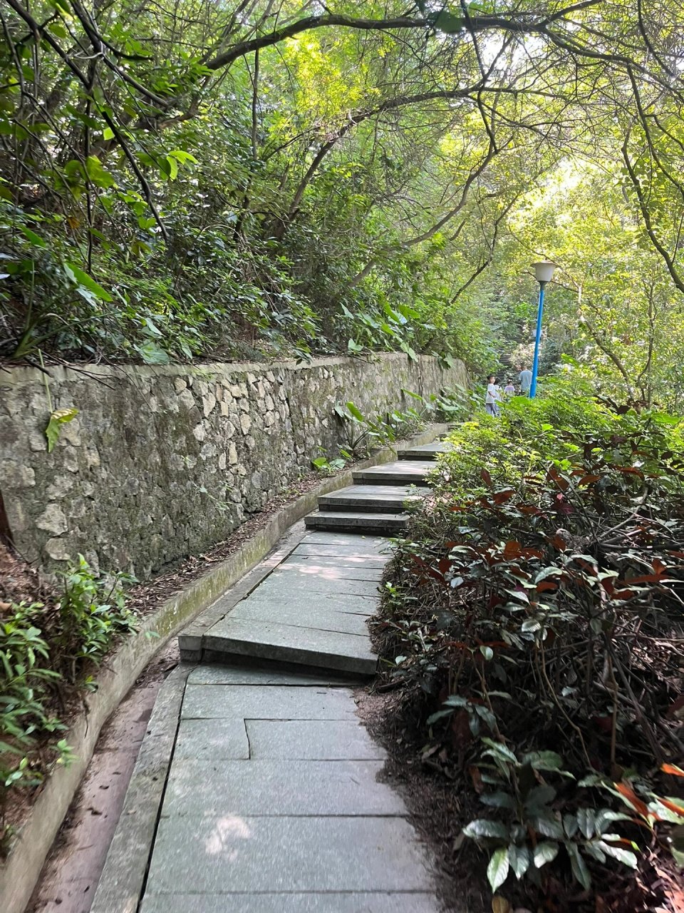 中山遛娃好地方-坦洲山公园 这个山不高,带着娃爬上爬下大概2个钟,有3