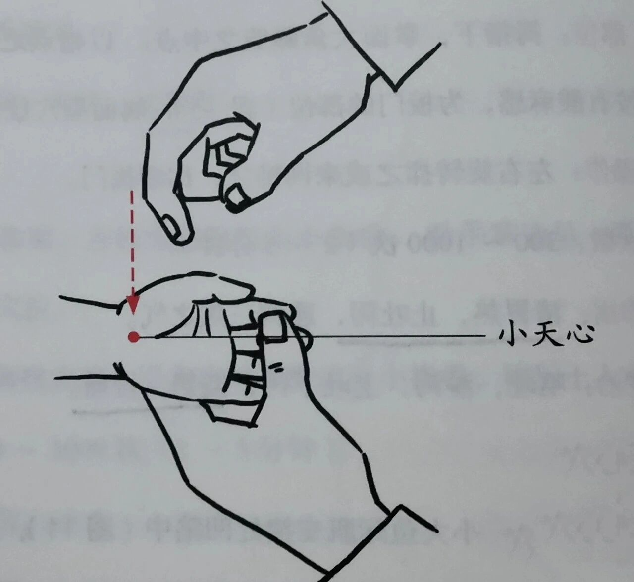 (《厘正按摩要术》——"小天心在掌根处,为诸经之祖.