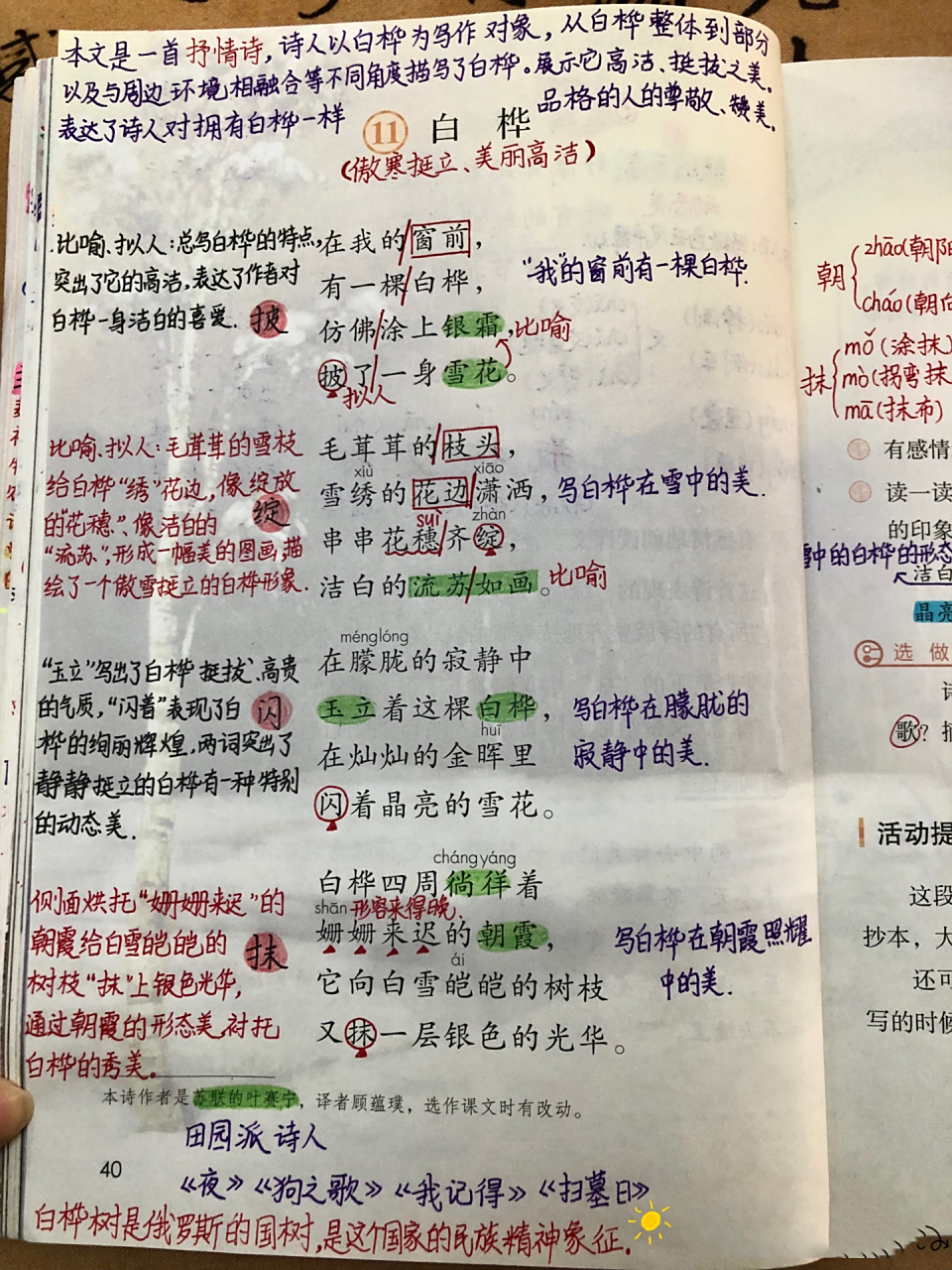 【四年级(下)】第11课《白桦》 课堂笔记 诗歌教学重点在指导朗读