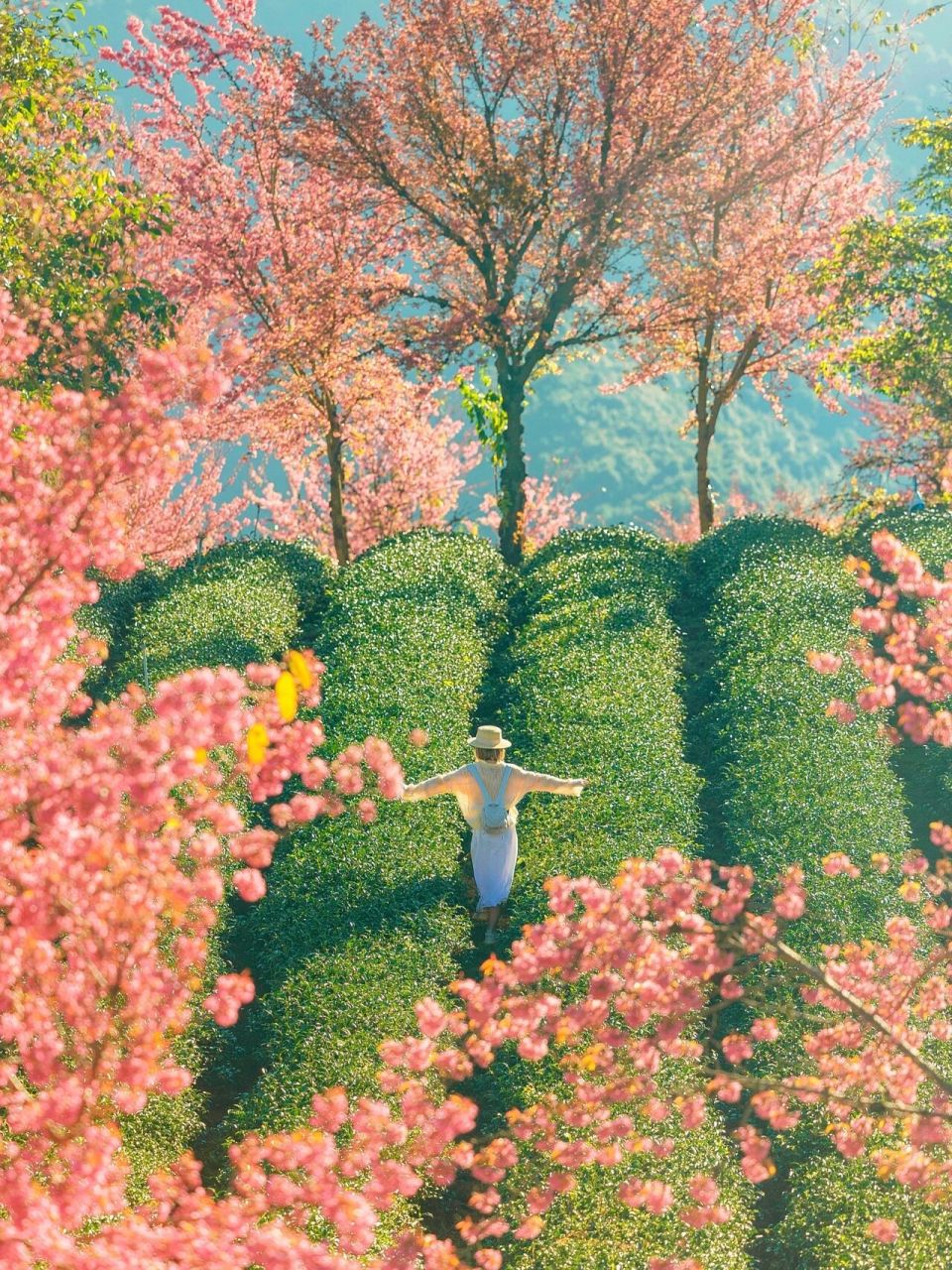 2021是在路上的一年 在正确的时间去看到了最美的风景 好好的把祖国转