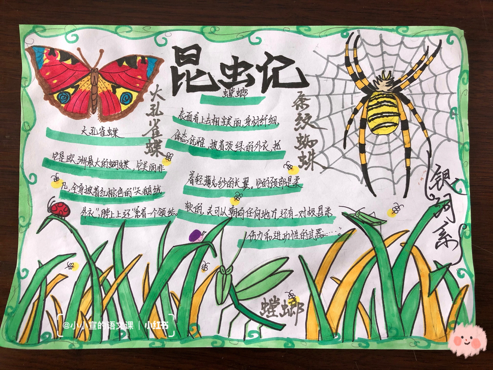 《昆虫记》手抄报 孩子们都太有创意了91 给孩子们布置了《昆虫记》
