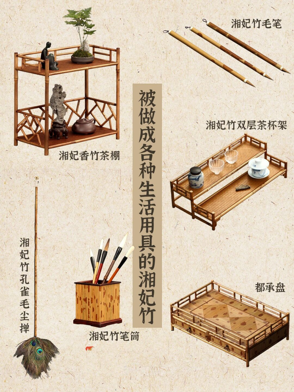 湘妃竹又名斑竹,它秀拔莹润,竹竿布满雅丽的紫色斑点,宛如泪痕,正如