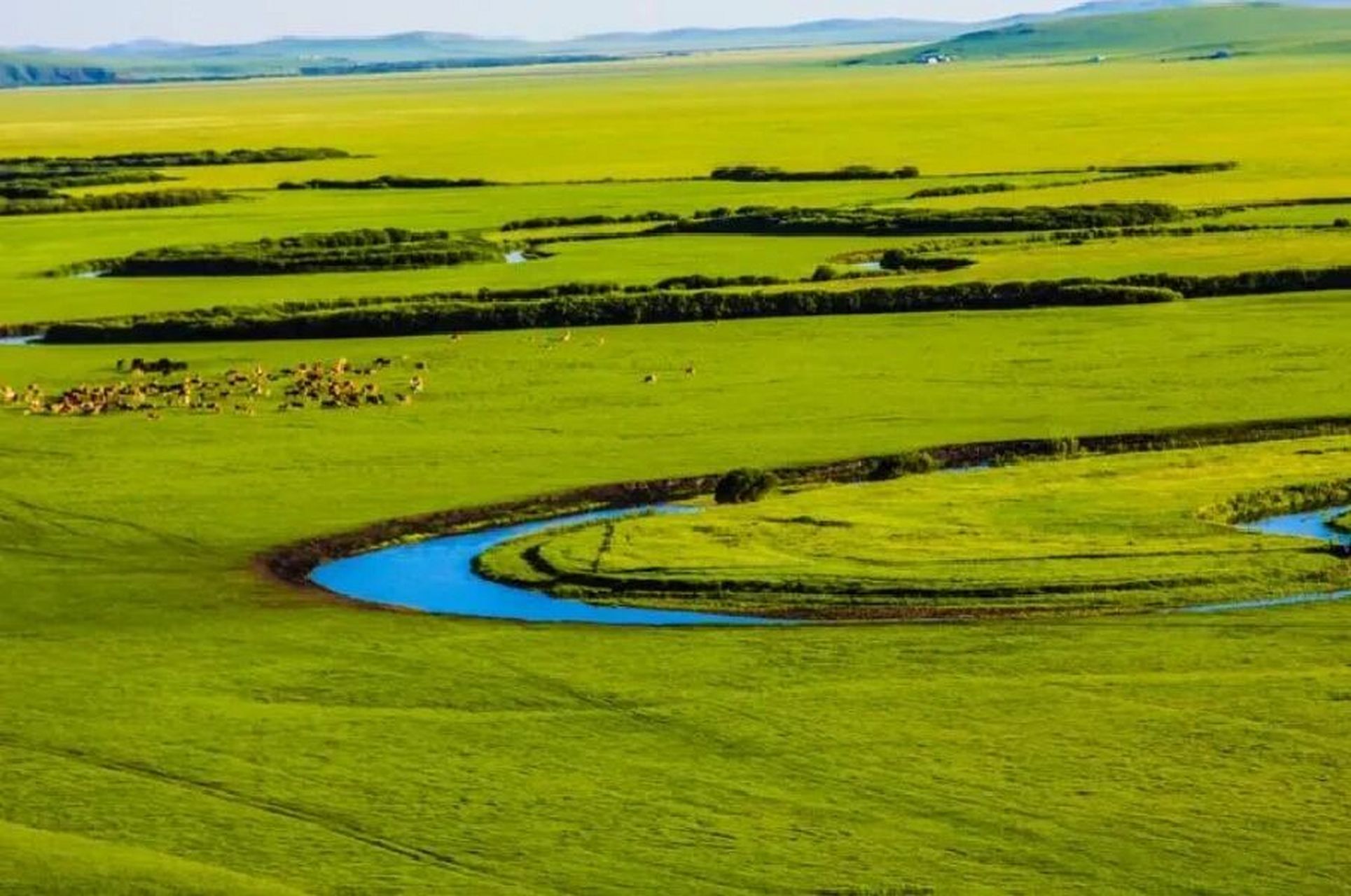 如何只花600元玩转最美草原乌拉盖3天2夜 一部狼图腾让我认识了乌拉盖