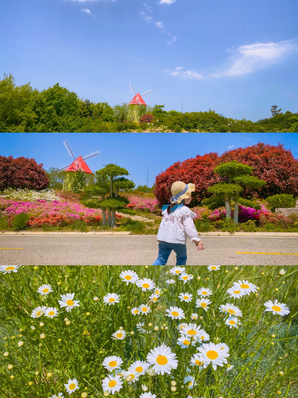 威海|童话小镇——大溪谷 99位于文登区的溪谷小镇 93百花盛开