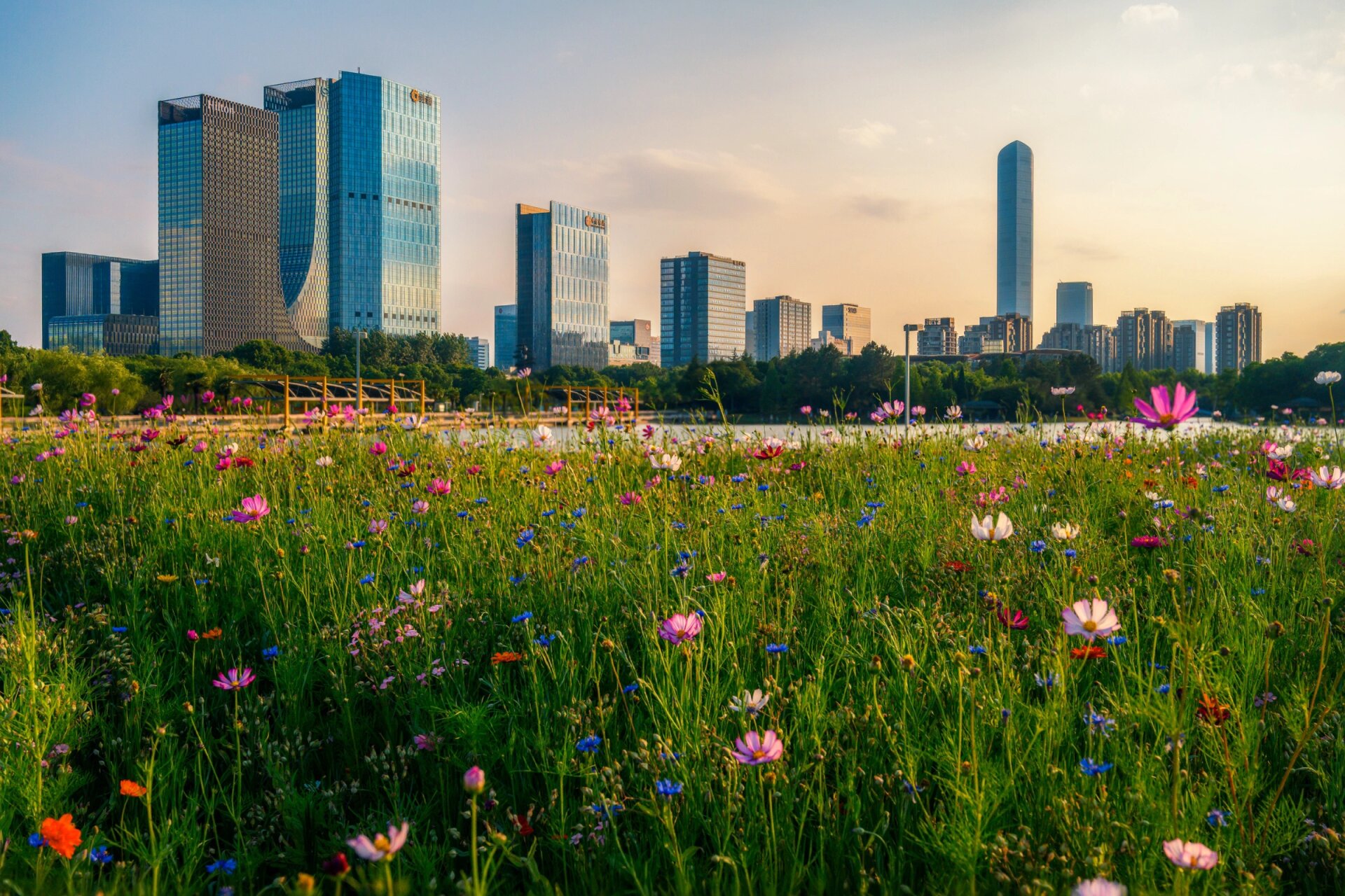 白塘植物园为啥收费了图片