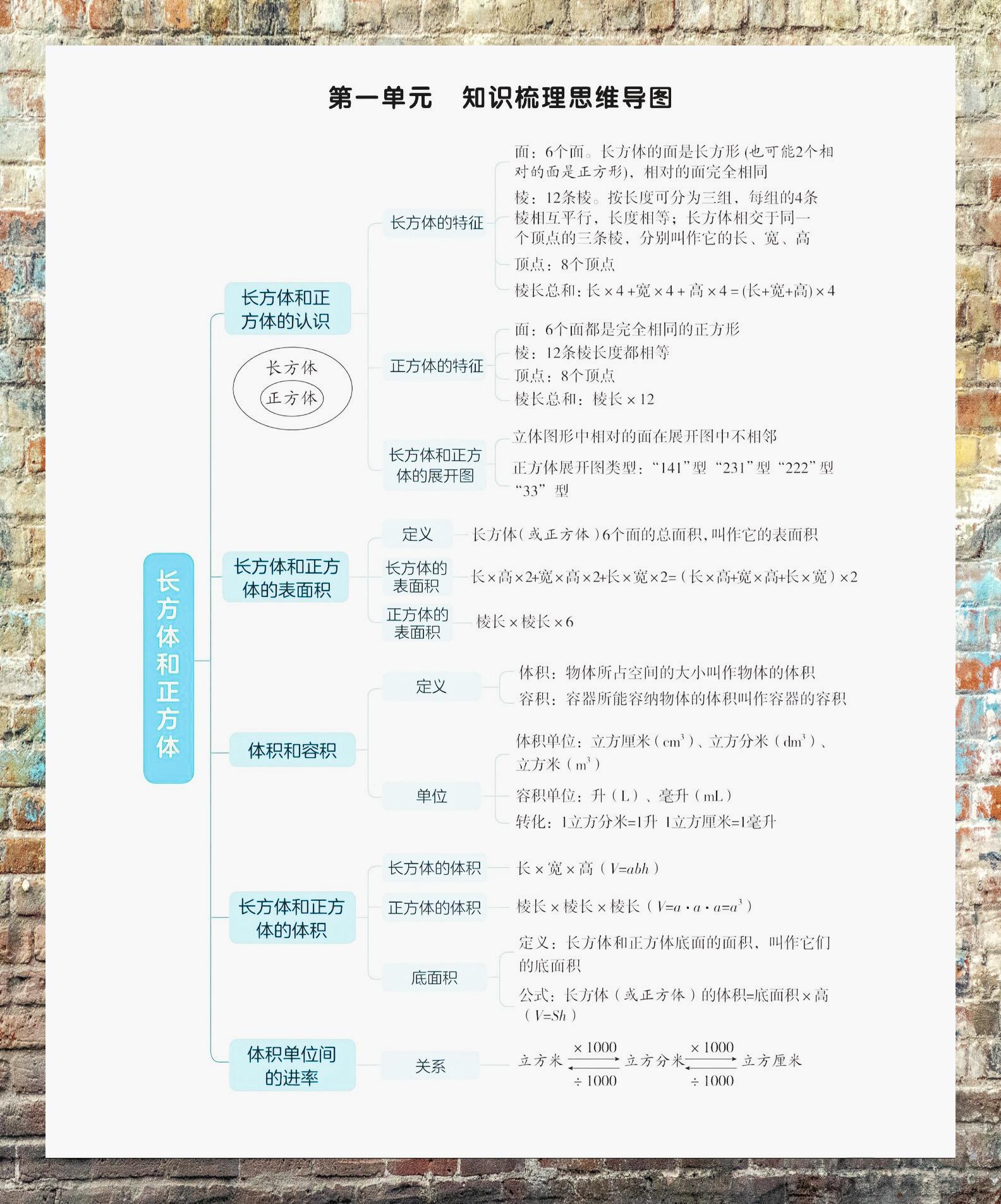 长方体正方体知识点图片