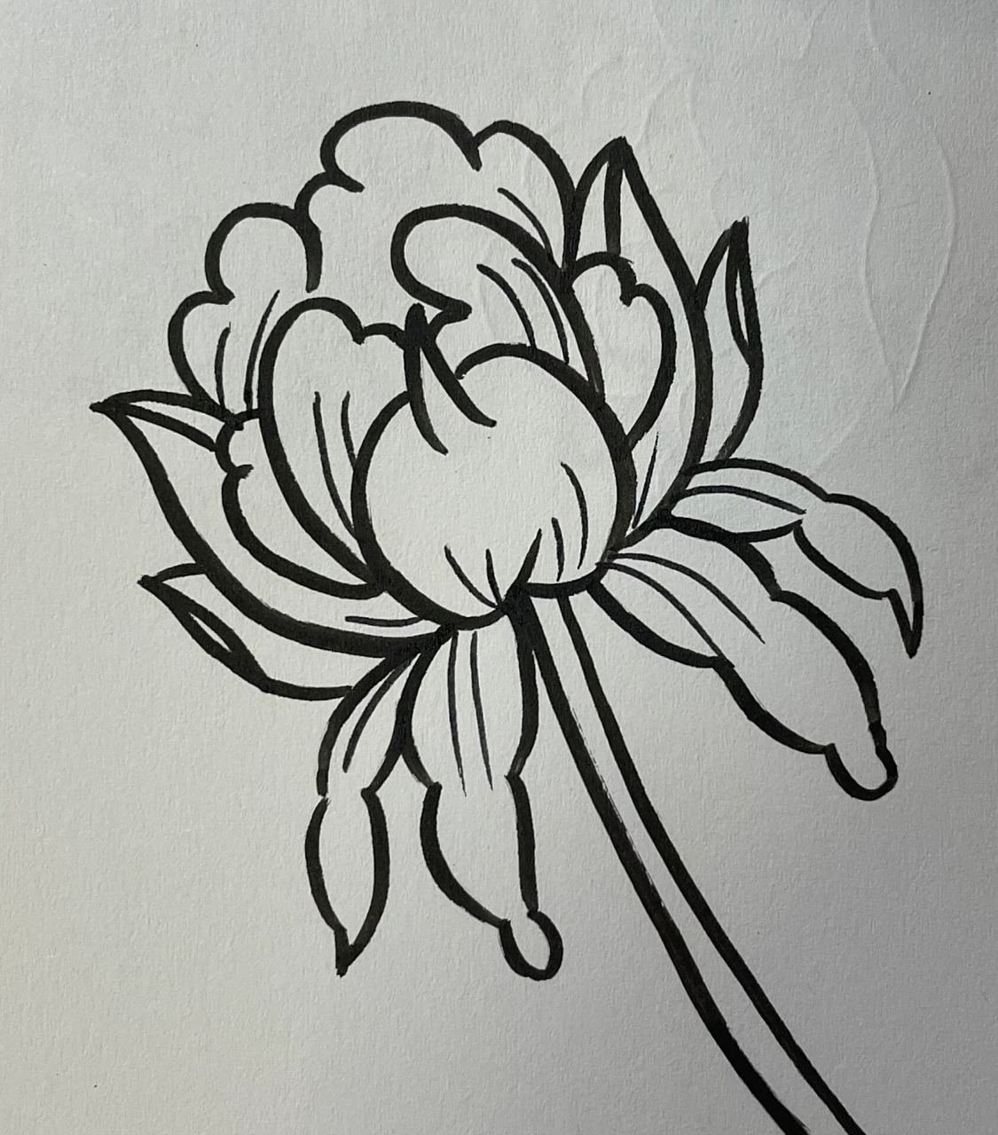 是简笔画很简单哦 #牡丹花绘画##牡丹花绘画素材# #牡丹花简笔画