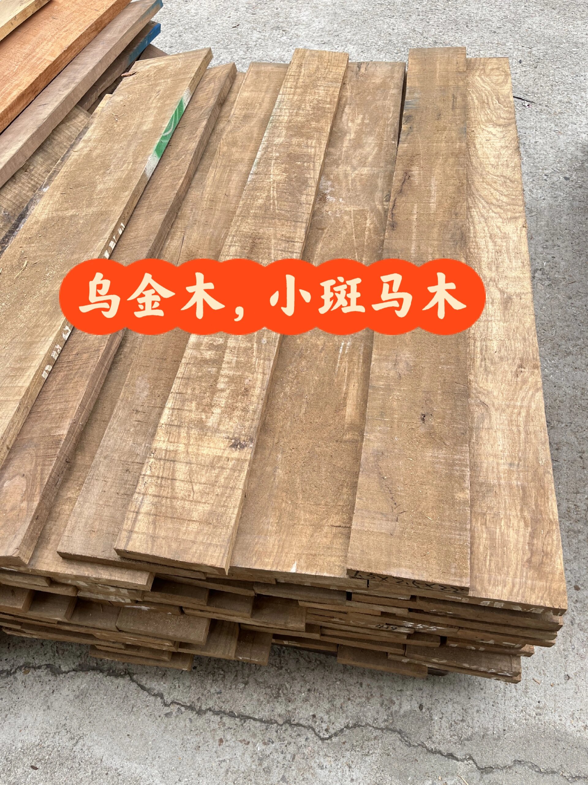 乌金木小斑马木