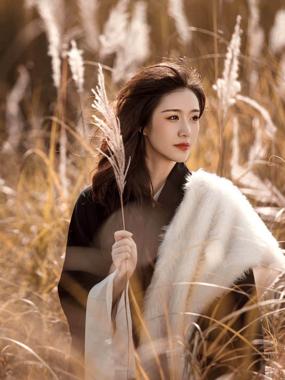 秋日暖阳下的芦苇荡,太适合拍古风写真了!