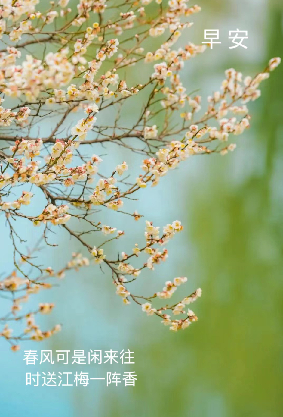 愿这甘霖洒满你的人生,让你的每一天都充满希望与活力!