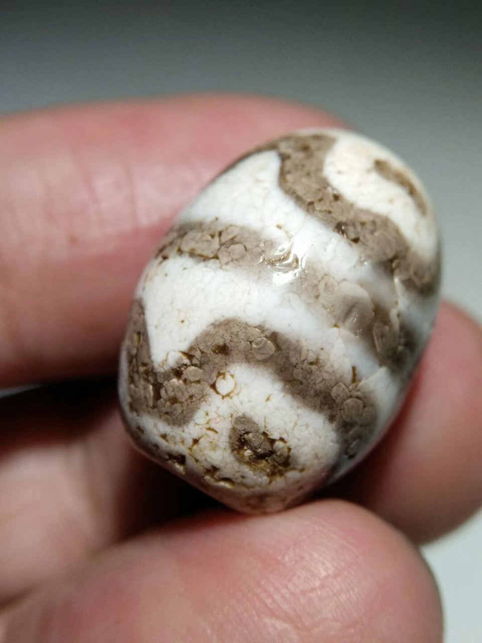 高油润藏传火供钙化至纯达洛虎牙莲花天珠,通体白化白芯,泌色唯美老味