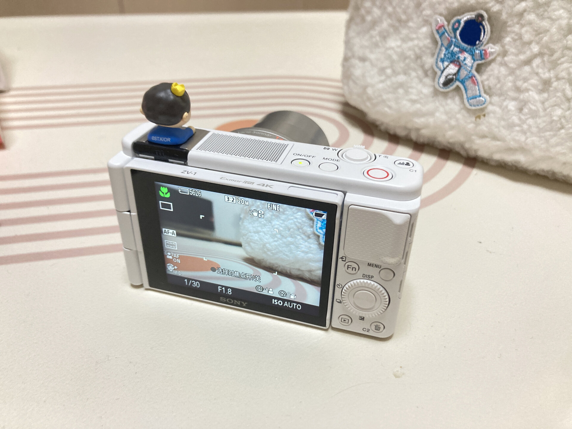 索尼zv1 91|求助!自拍镜像怎么调呢?