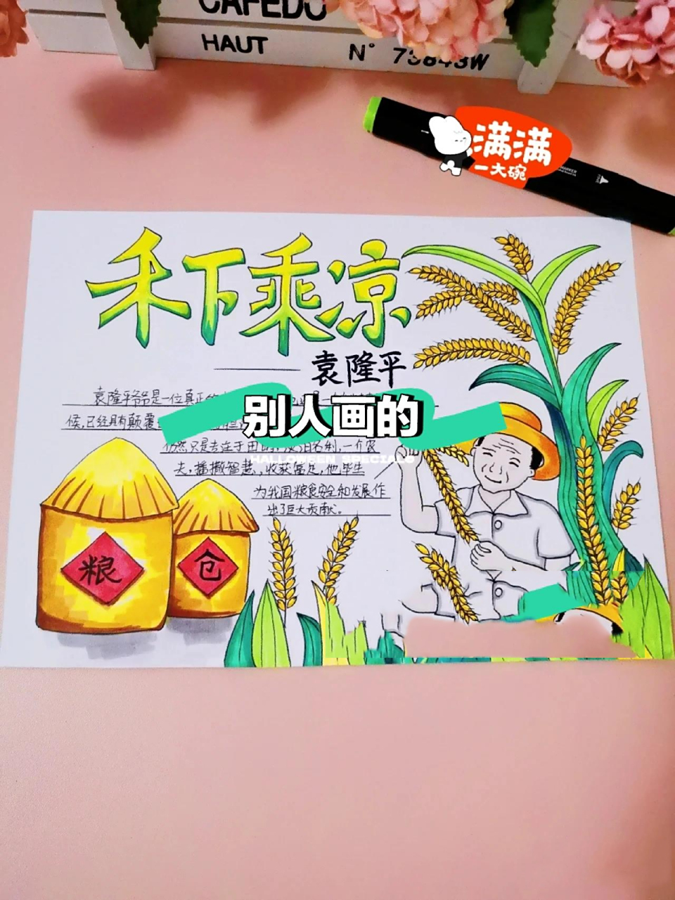 水稻之父   袁隆平手抄报