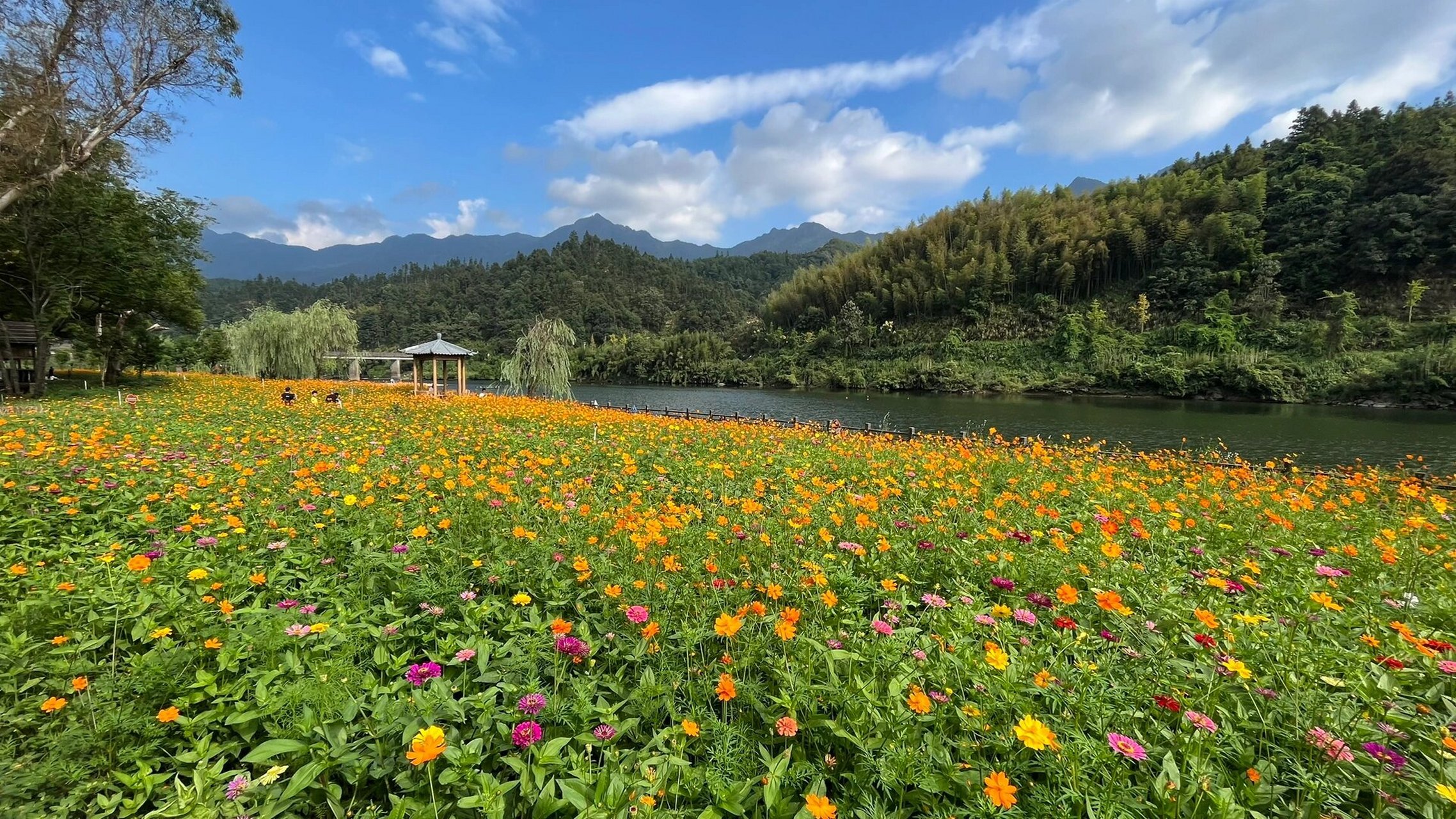 松溪梅口埠景区 有点世外桃源的感觉…有房车营地,还有沿溪而建的古