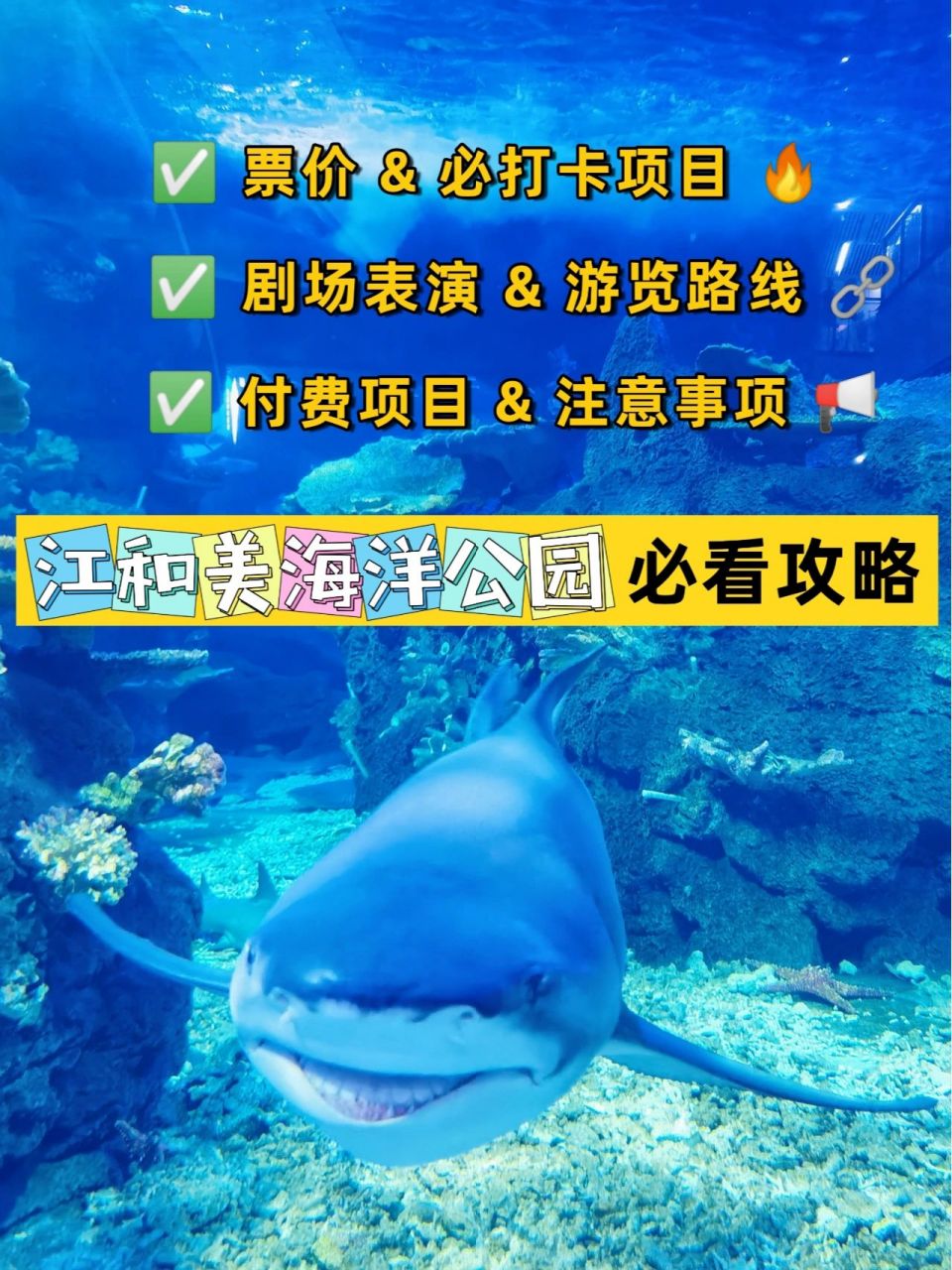 不当冤大头6015江和美海洋公园必看攻略 93名字:江和美海洋公园