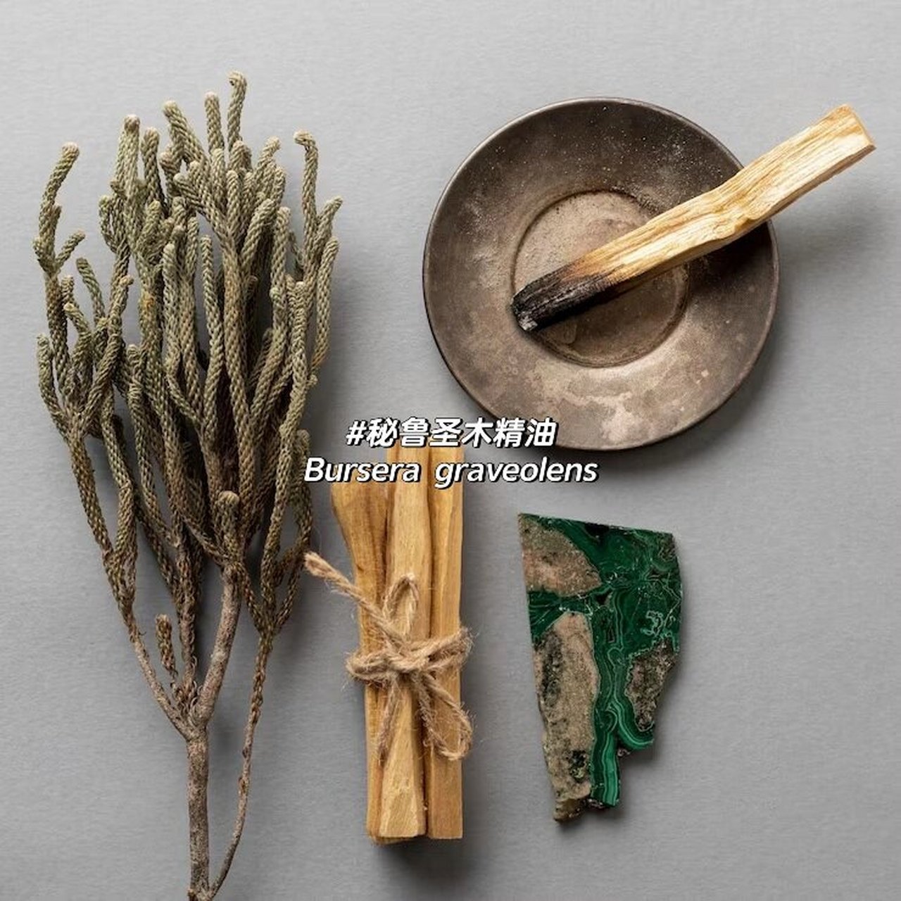 单方精油 | 秘鲁圣木 【产品名称】秘鲁圣木精油palo santo 【拉丁学