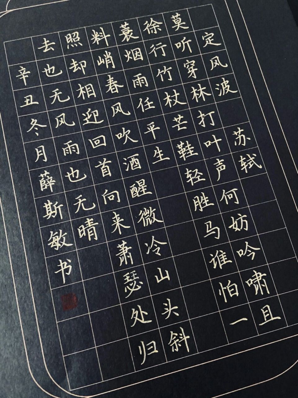 一蓑烟雨任平生91 归去 也无风雨也无晴94 #东坡先生的豪迈与