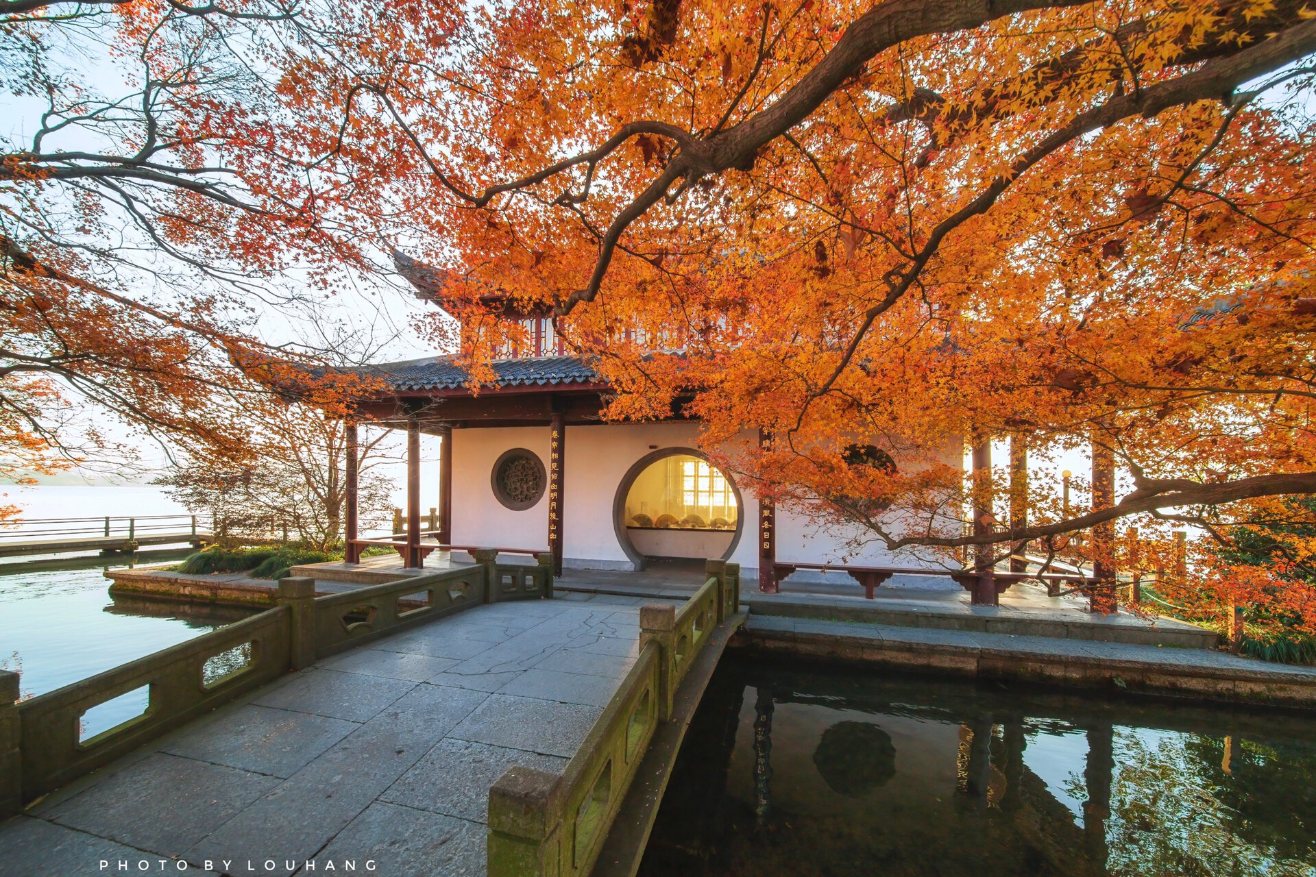 杭州平湖秋月的双枫树 97摄于12月20日上午7:40 	 99孤山平湖秋月