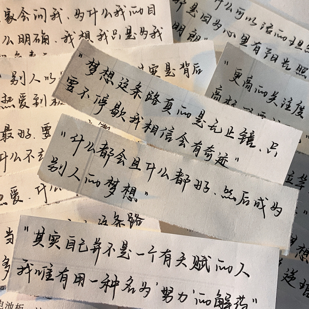 「 鞠婧祎语录 」—粉丝投稿 95 好好努力总是没有错的,好好耕耘