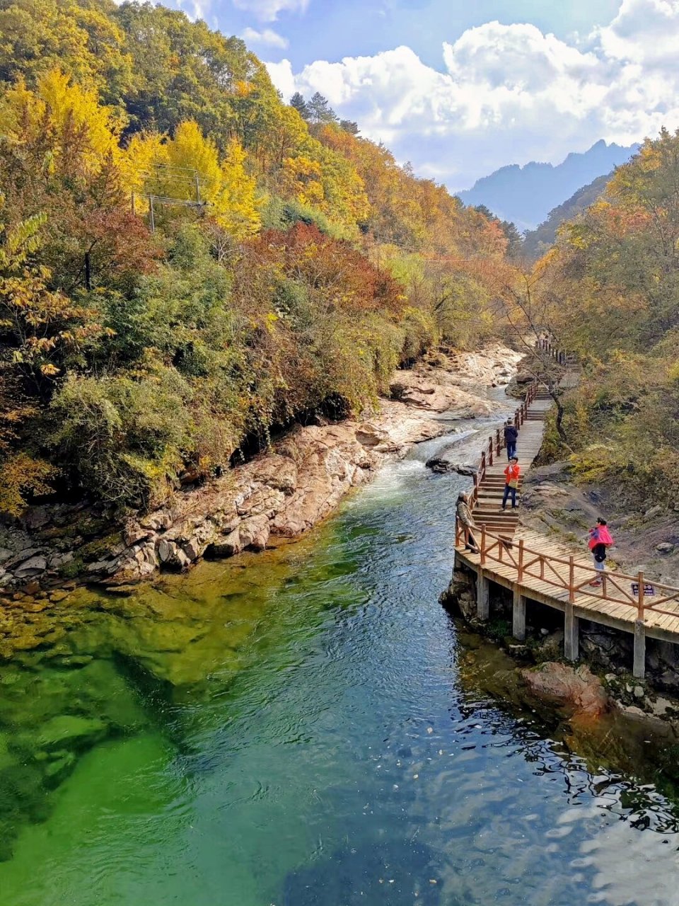 秦岭深处的"香格里拉"黄柏塬,赏秋攻略 柏塬原生态风景区地处秦岭