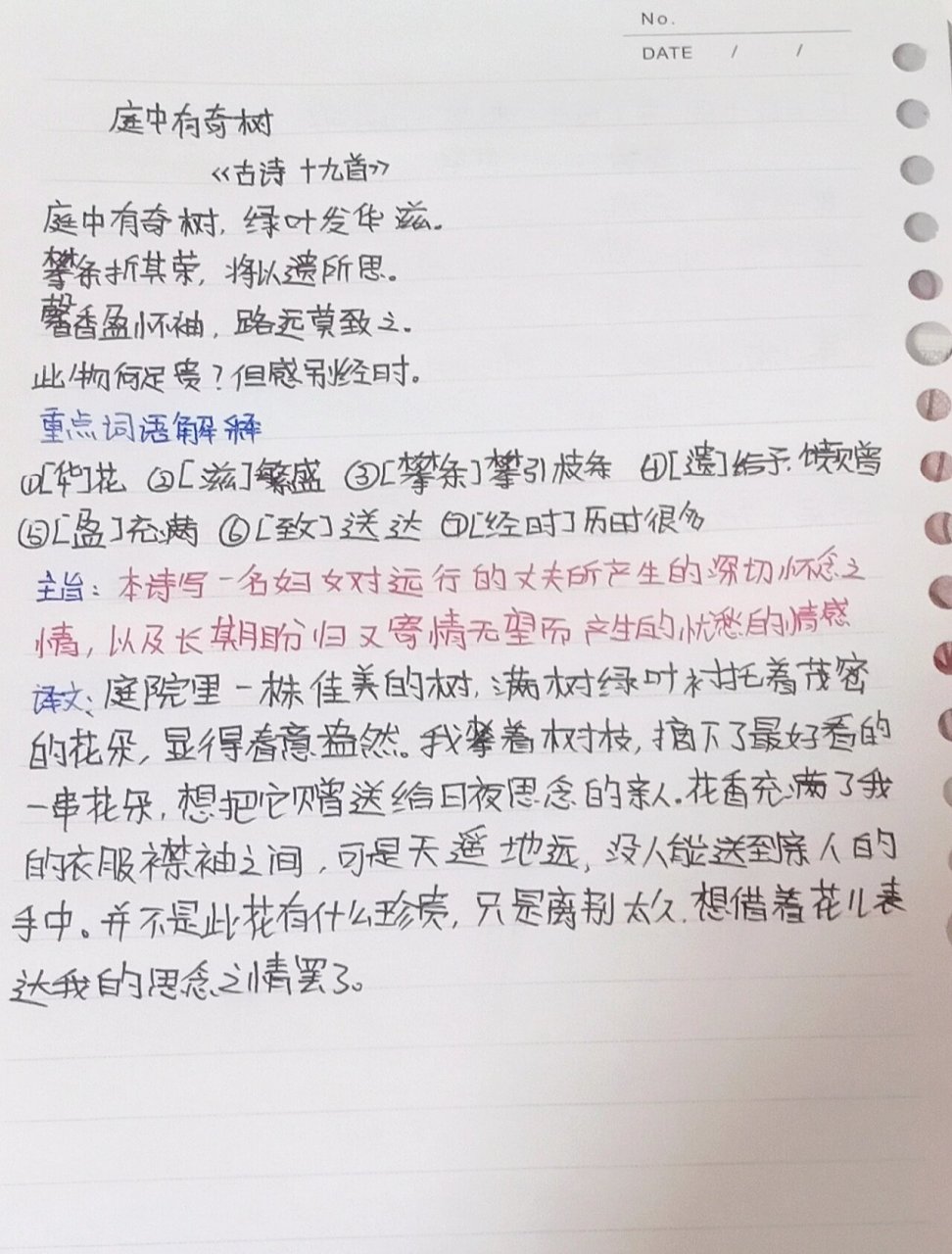 庭中有奇树翻译图片