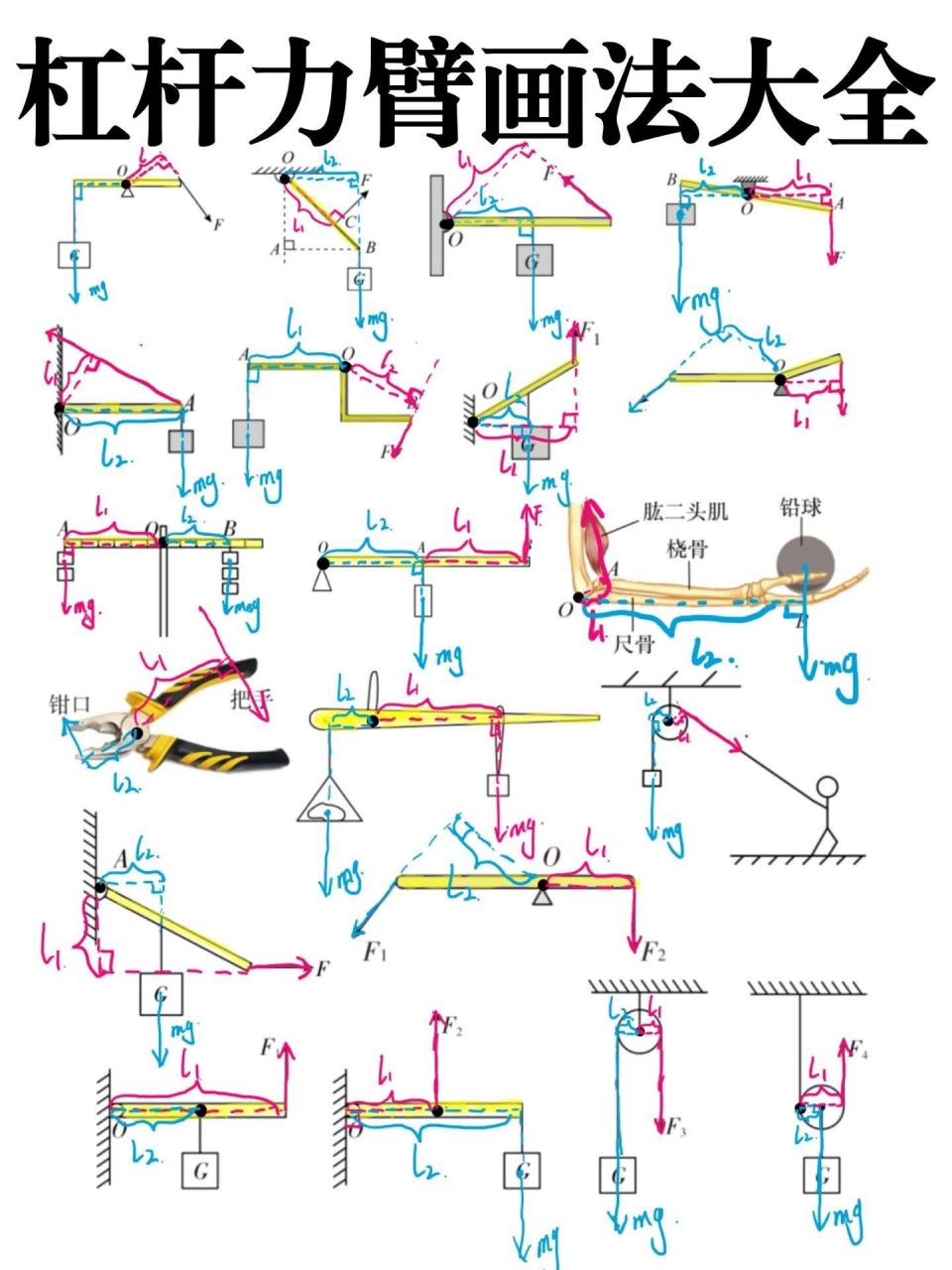杠杆画图题技巧图片
