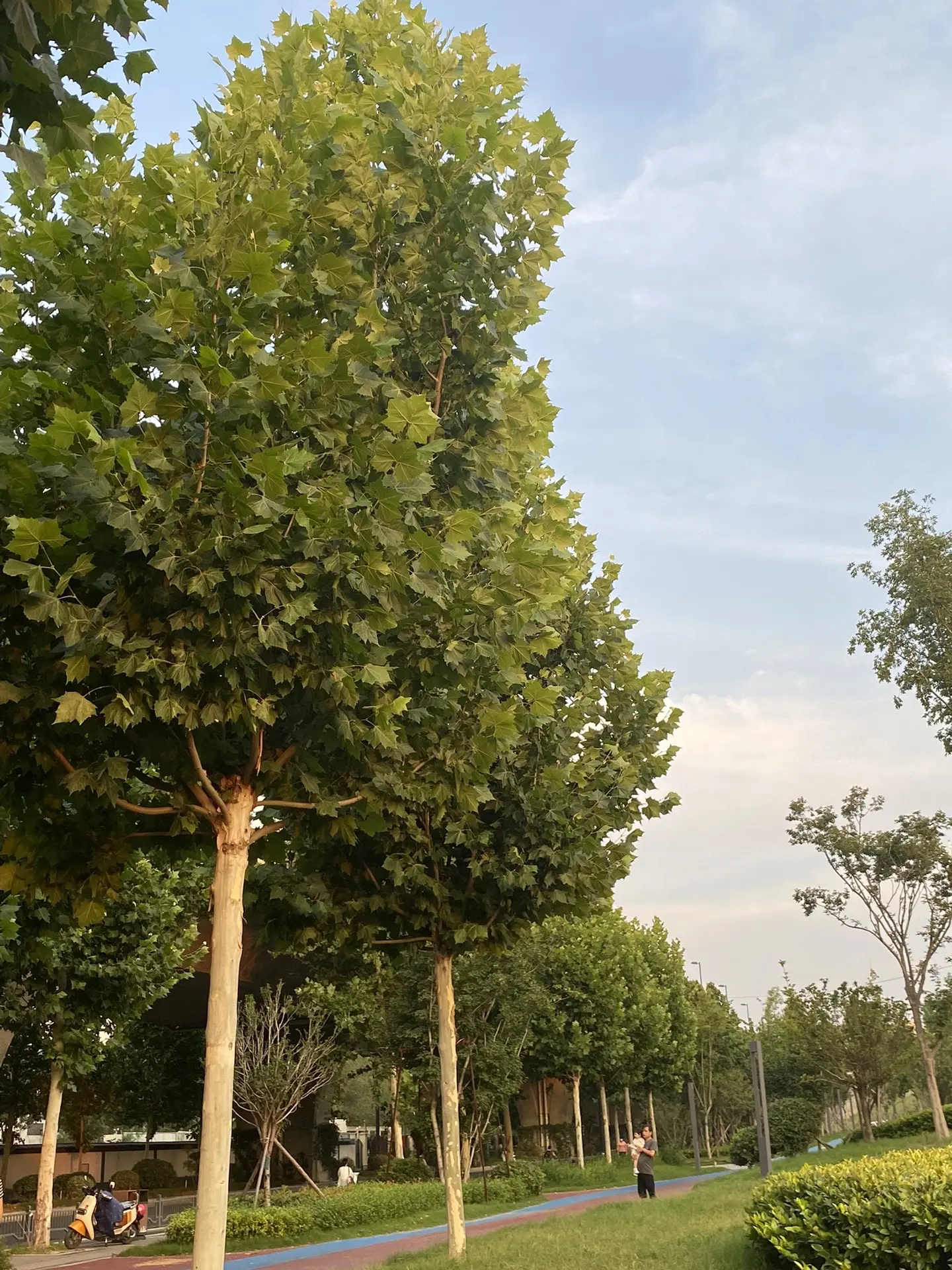 的困难;只要付出就会遇见美好;只要做个善良的人苍天就会温柔待你