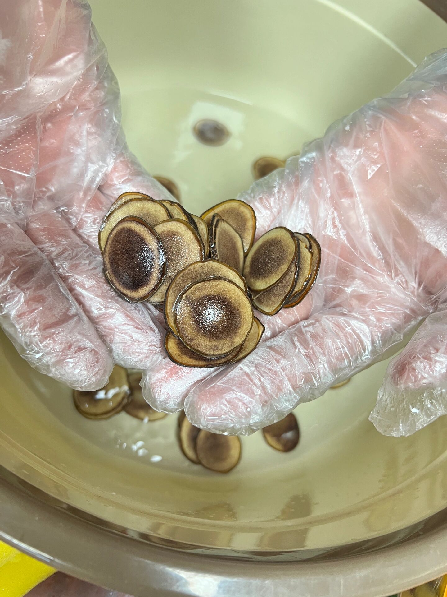 泡酒王炸!鹿尾巴鹿茸海马人参酒