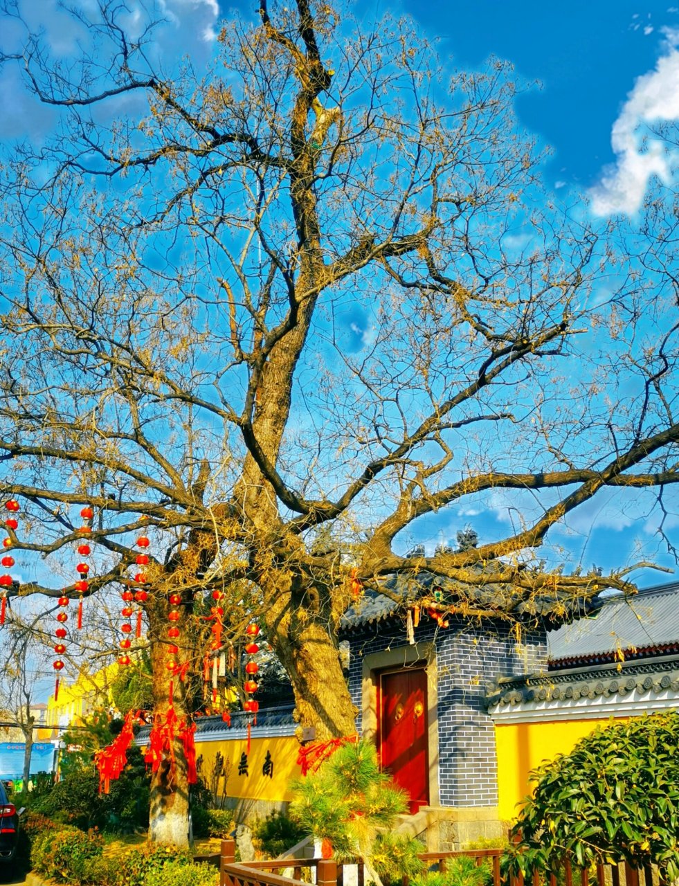 青岛城阳法海寺,1700年历史.