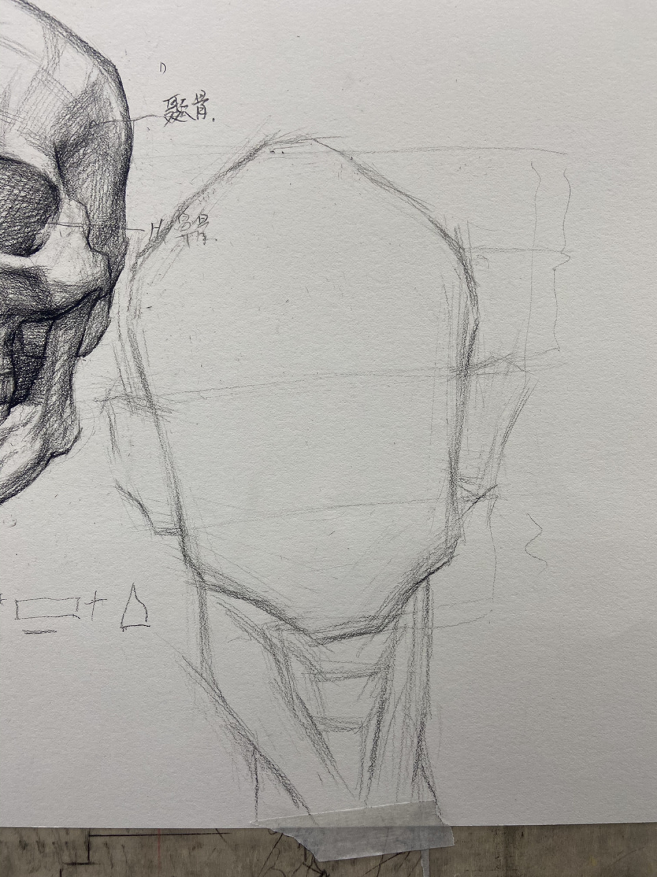 头像基础课程步骤(肌肉人头)