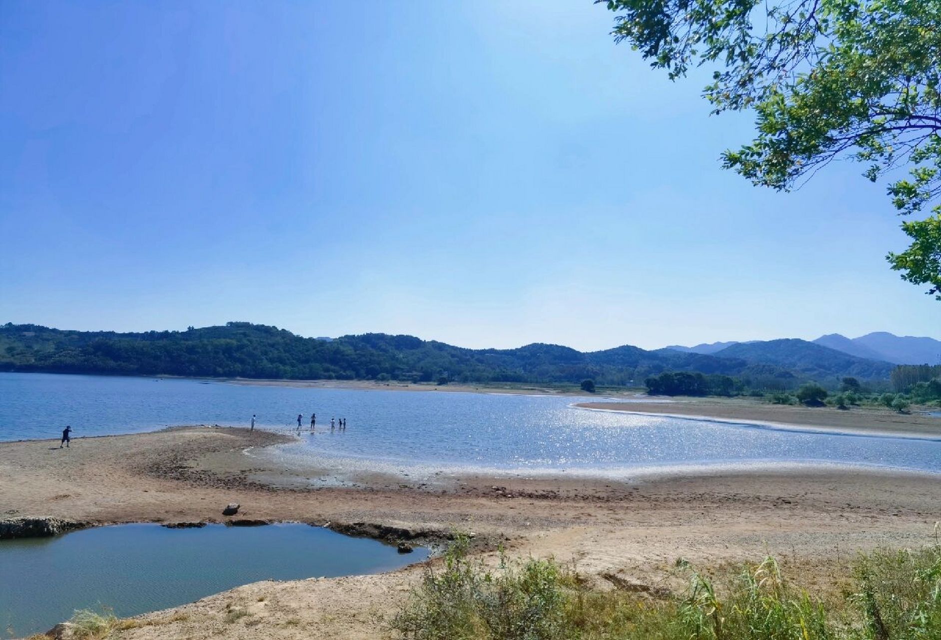 合肥周边游—庐江 庐江金汤湖湿地公园—相思林景区—云里安凹—百花