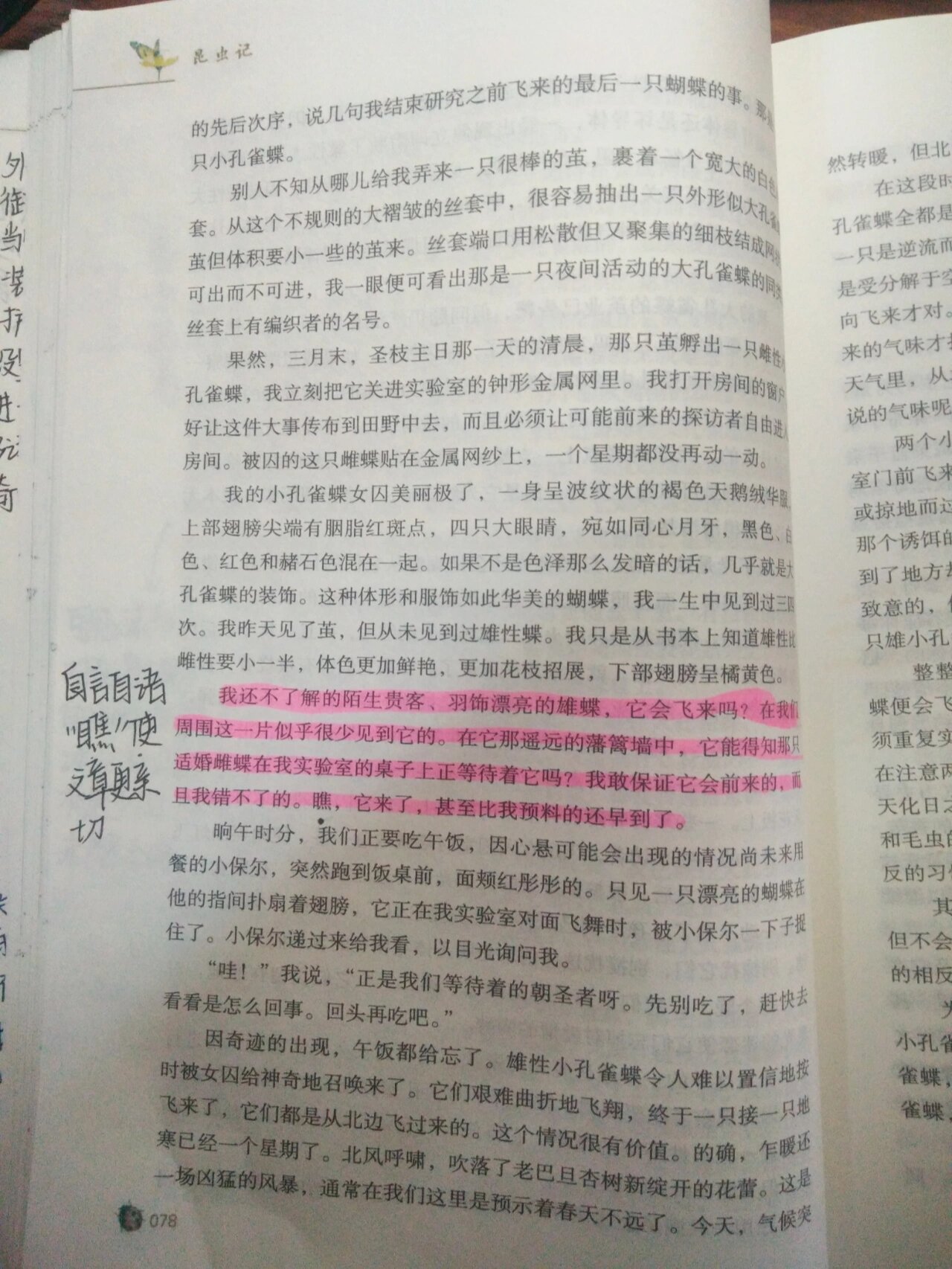 《昆虫记》大孔雀蝶批注下