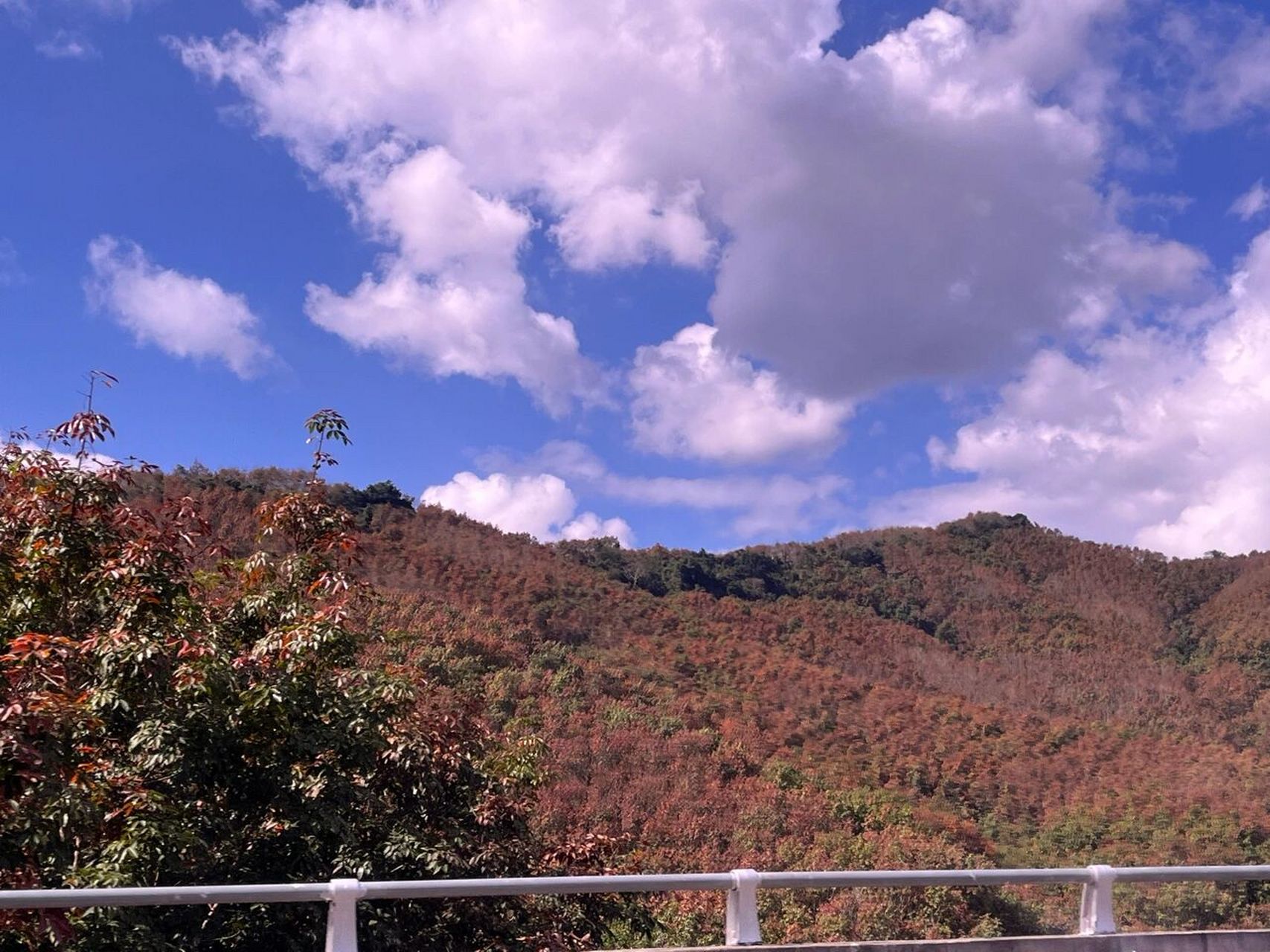 寒假第一站—保亭七仙岭 今天的天气十分的好,在高速上过了屯昌,一路