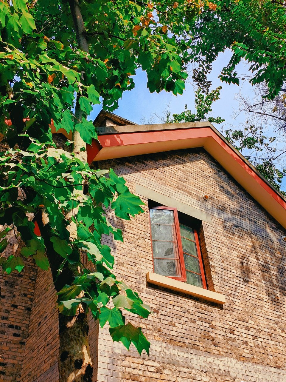 重庆大学松林坡老别墅区 谁不喜欢小时候长大的地方呢?