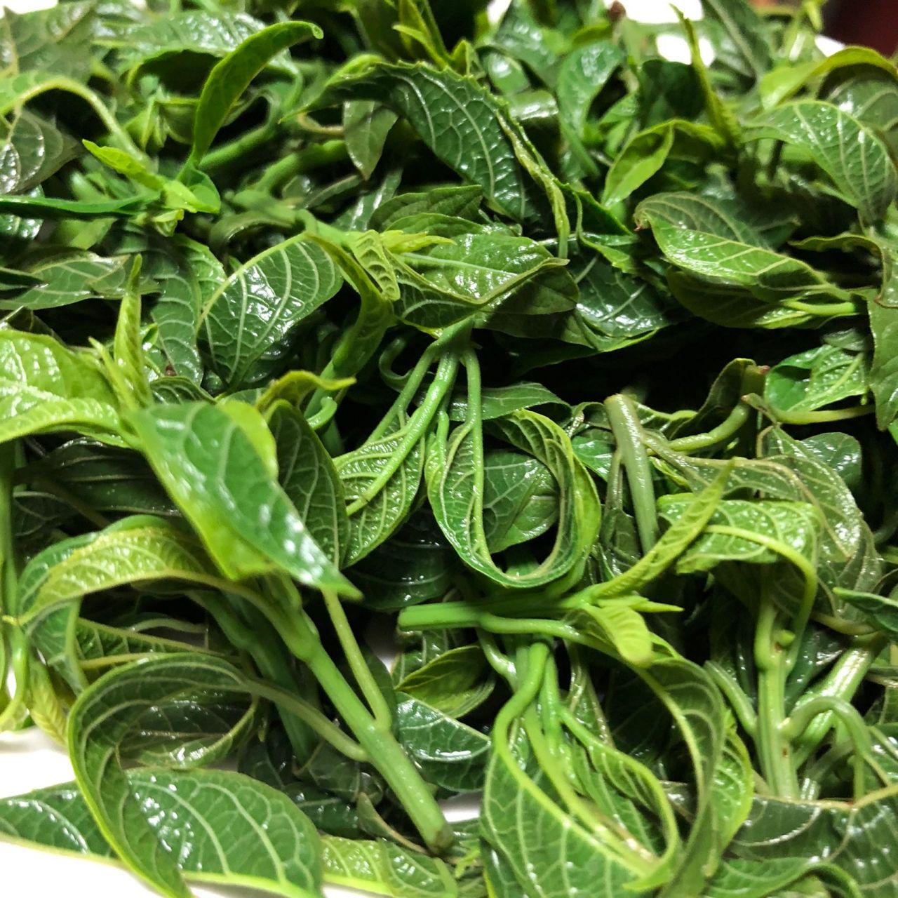 坐标浙江温州这种野菜60一斤  我们温州叫它青草心,不知道学名叫什么