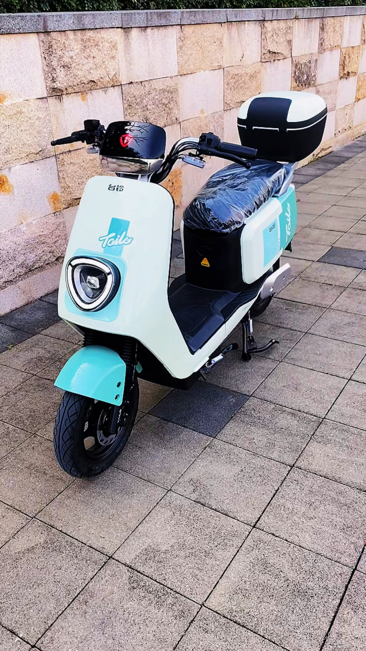 0 新国标93上白牌 台铃电动车,新国标车,多个颜色可选 台铃4.