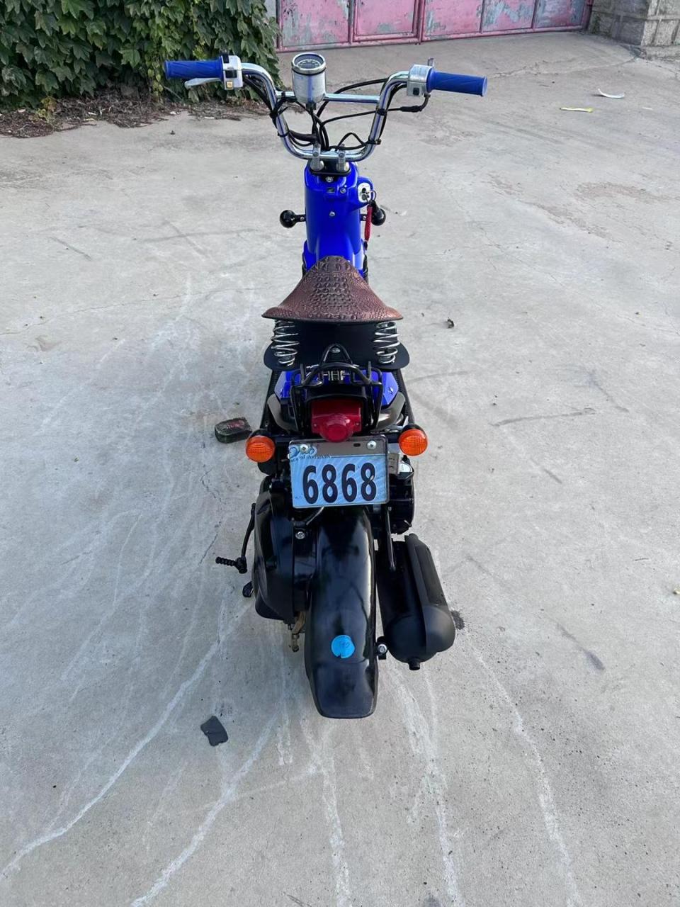 88009090名盘 本田小恐龙04收藏价值特高:日本bds直拍,毒物