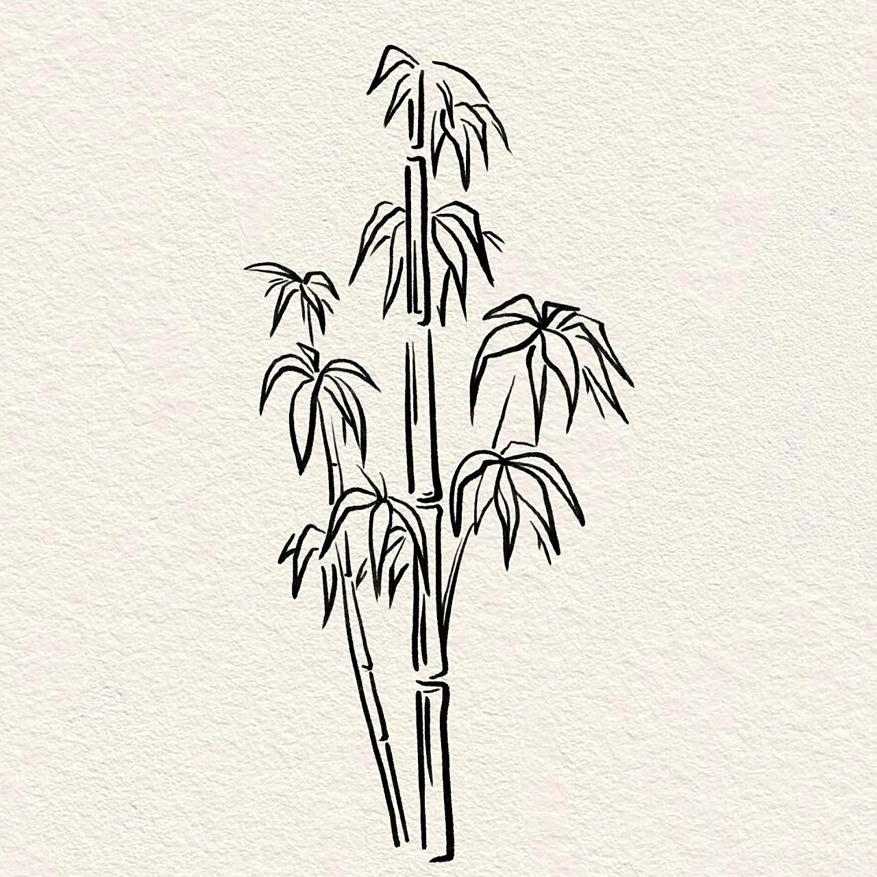 🌟零基础学画画|竹子